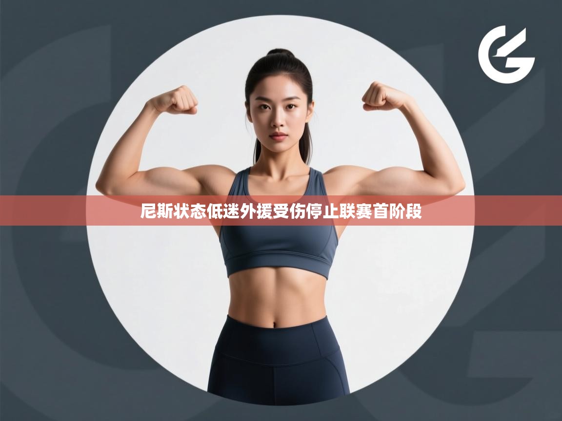 尼斯状态低迷外援受伤停止联赛首阶段  第2张