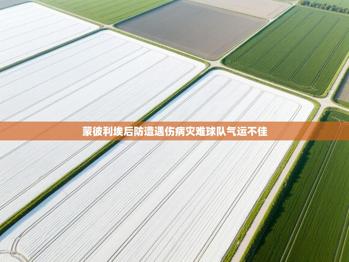 蒙彼利埃后防遭遇伤病灾难球队气运不佳  第2张